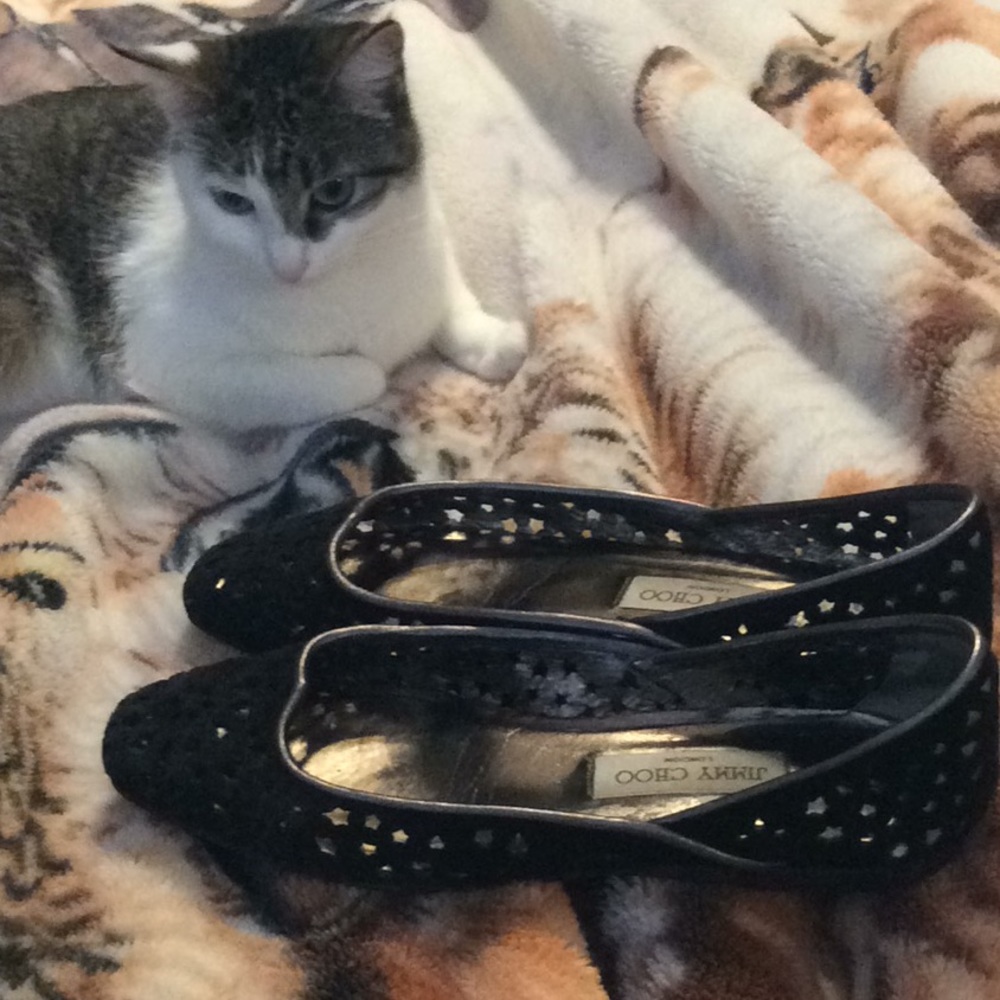 JIMMY CHOO Black Suede Napa Star Cut Outs